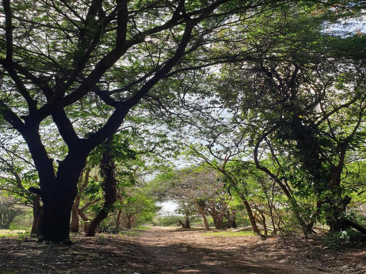Pumusa Bushcamp Hluhluwe Buitenkant foto