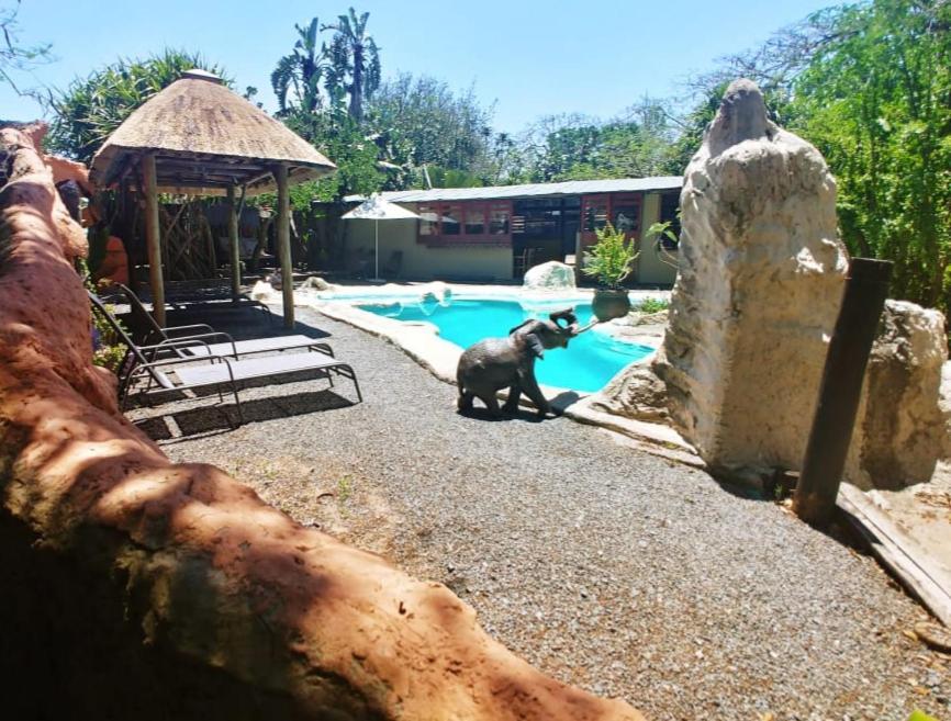Pumusa Bushcamp Hluhluwe Buitenkant foto