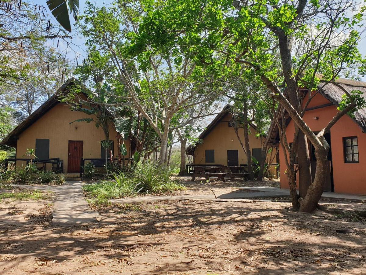 Pumusa Bushcamp Hluhluwe Buitenkant foto